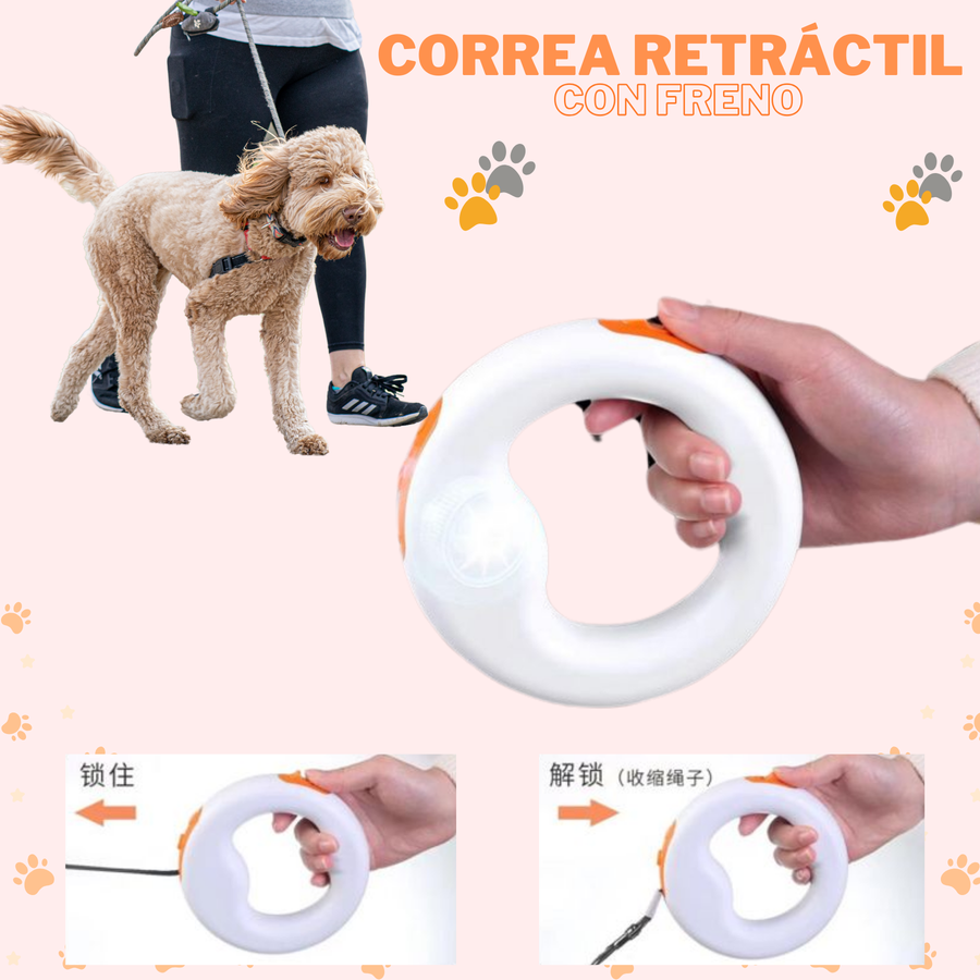 Correa retráctil para perro Punto Calma con freno de un toque y gancho giratorio 360°